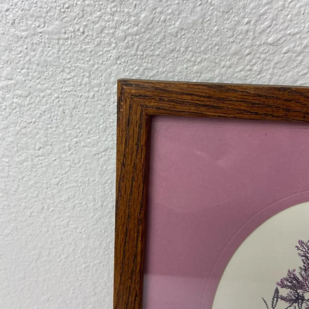Original Litbograph Handcrafted Seaweed  Hawaiian Reefs